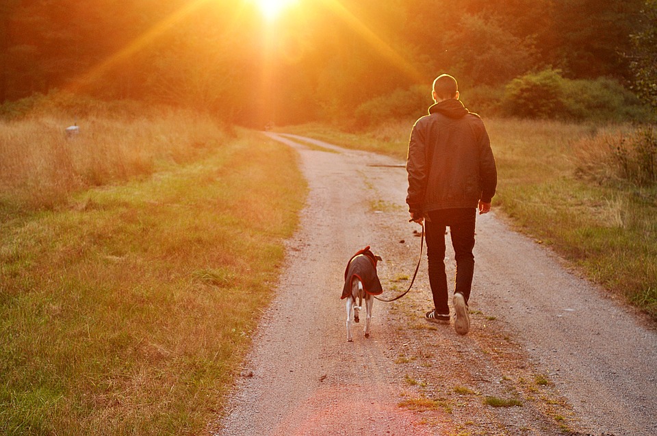 Cytaty o psach, Pies i mężczyzna na spacerze