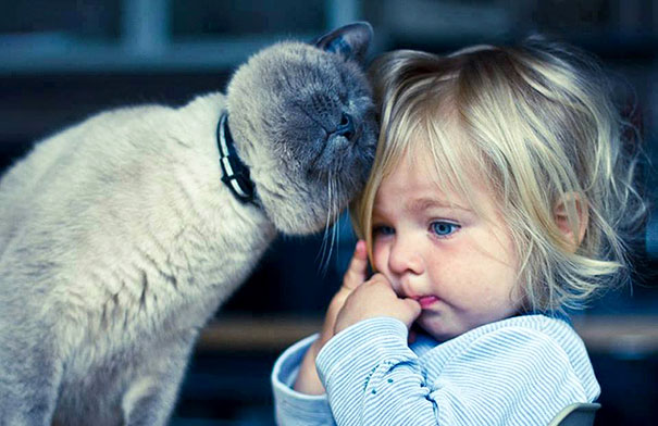 Słodkie zdjęcia dzieci i kotów