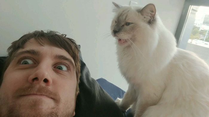 selfie z kotem