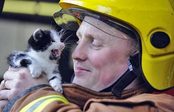 strażak z kotem