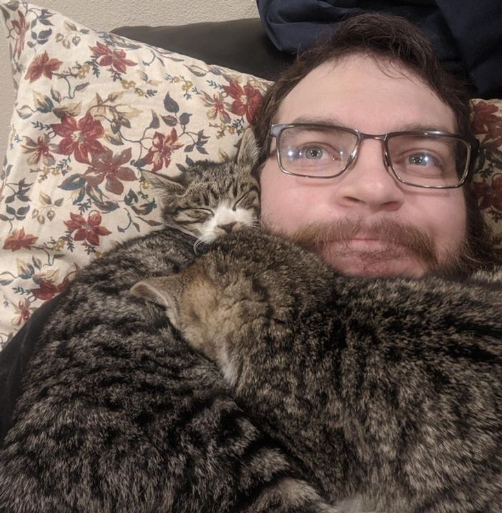 dwa koty leżą na człowieku